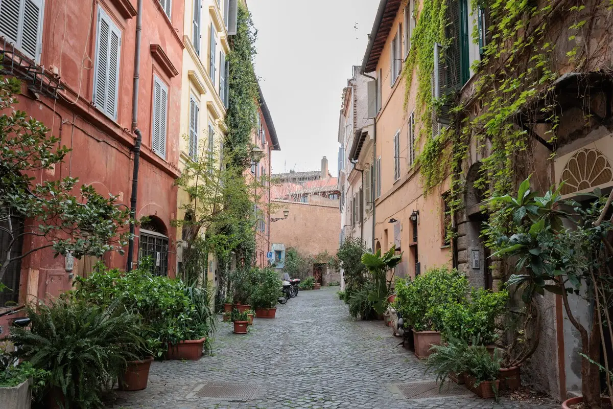 The cobbled lane, with potted plants at the doorways.