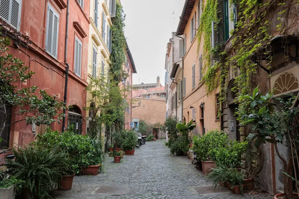 The cobbled lane, with potted plants at the doorways.